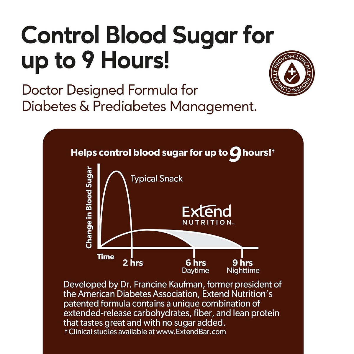 Sugar Free Protein Bars