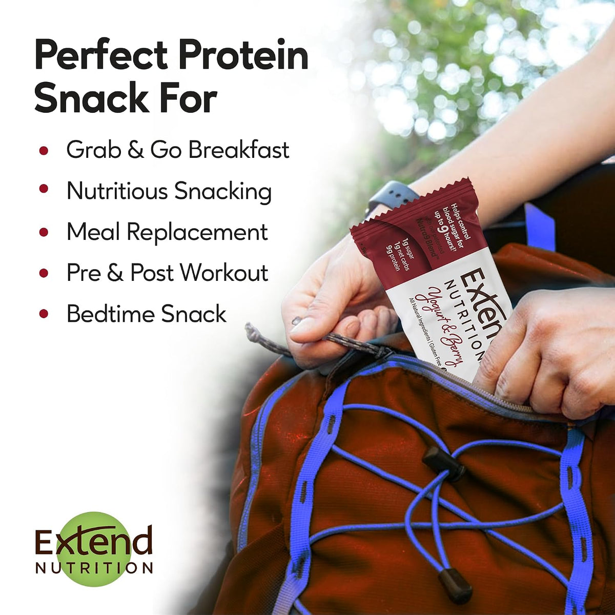 Sugar Free Protein Bars