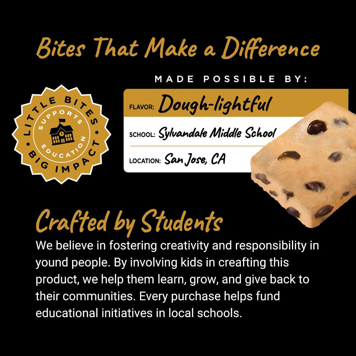 FUEL 4 EVER Protein Bites Chocolate Chip Cookie Dough
