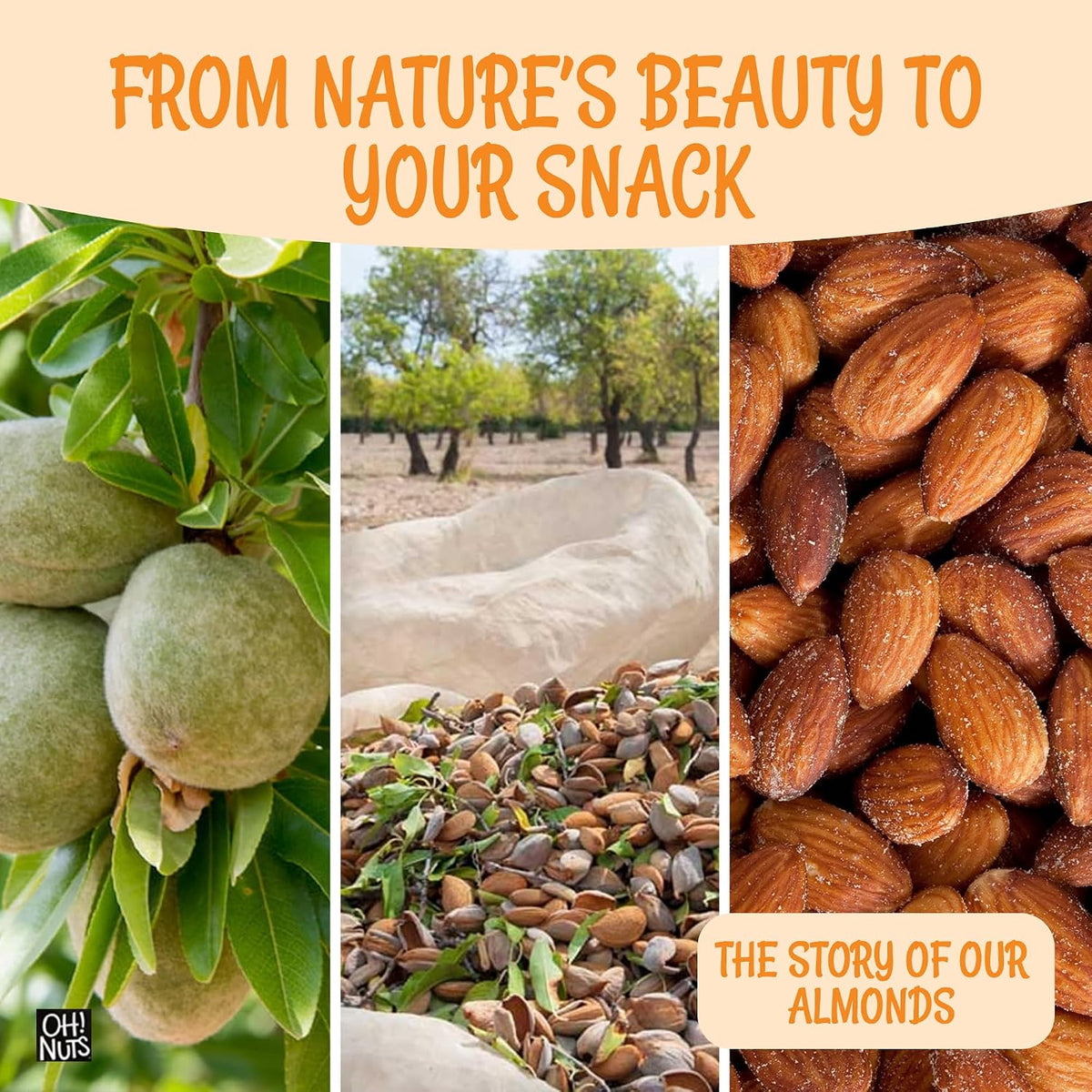 Oh! Nuts Dry Roasted Salted Almonds